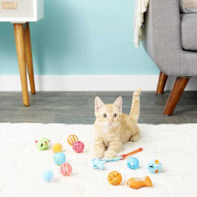 Cat Toy Variety Pack Y359907