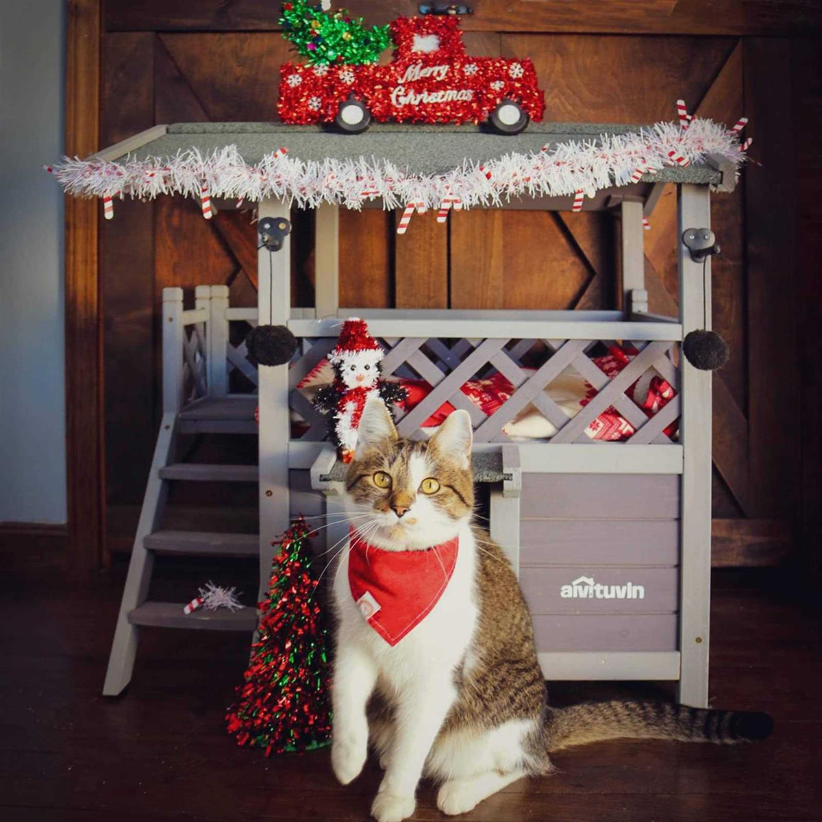 Cat House with Door B68003