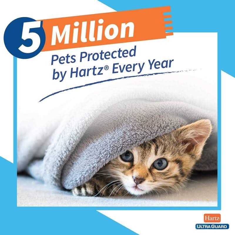 Flea & Tick Prevention For Cats H462653