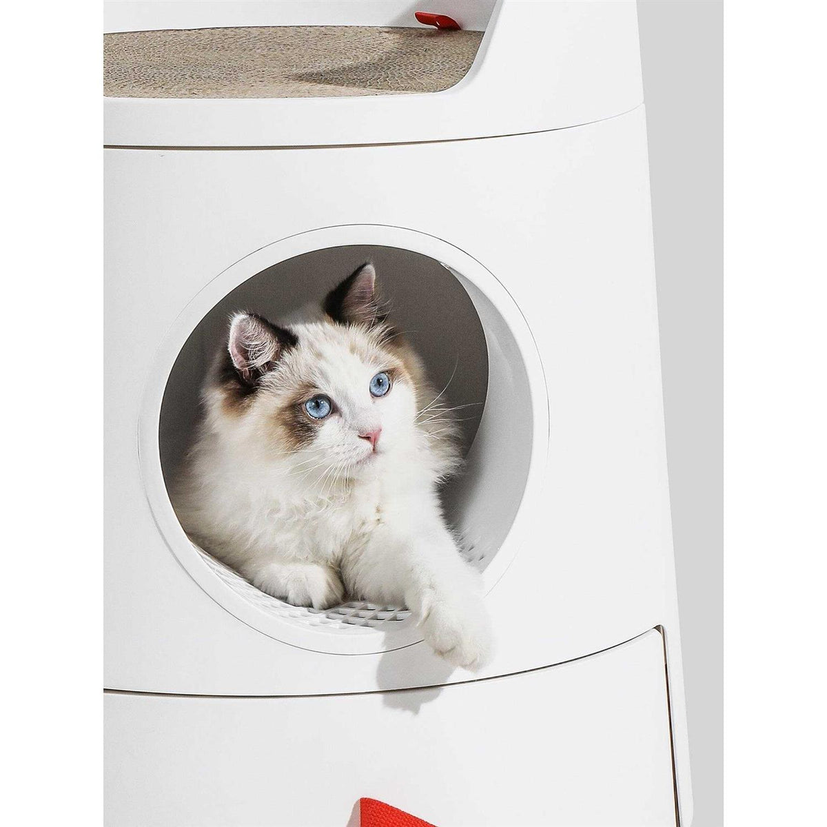 XL 2-in-1 Cat Litter Box with Scratch Basin N245022