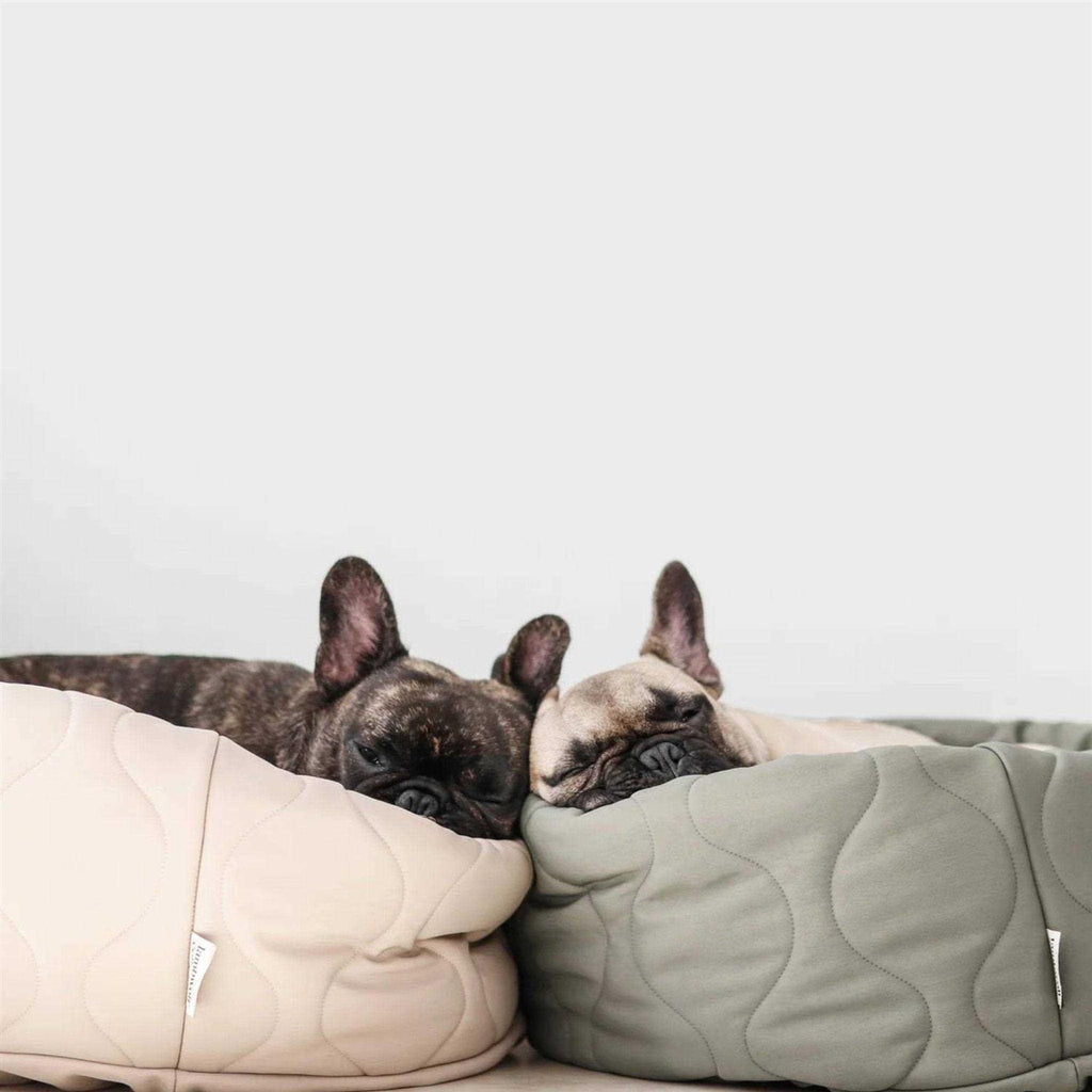 Reversible Donut Pet Bed M335
