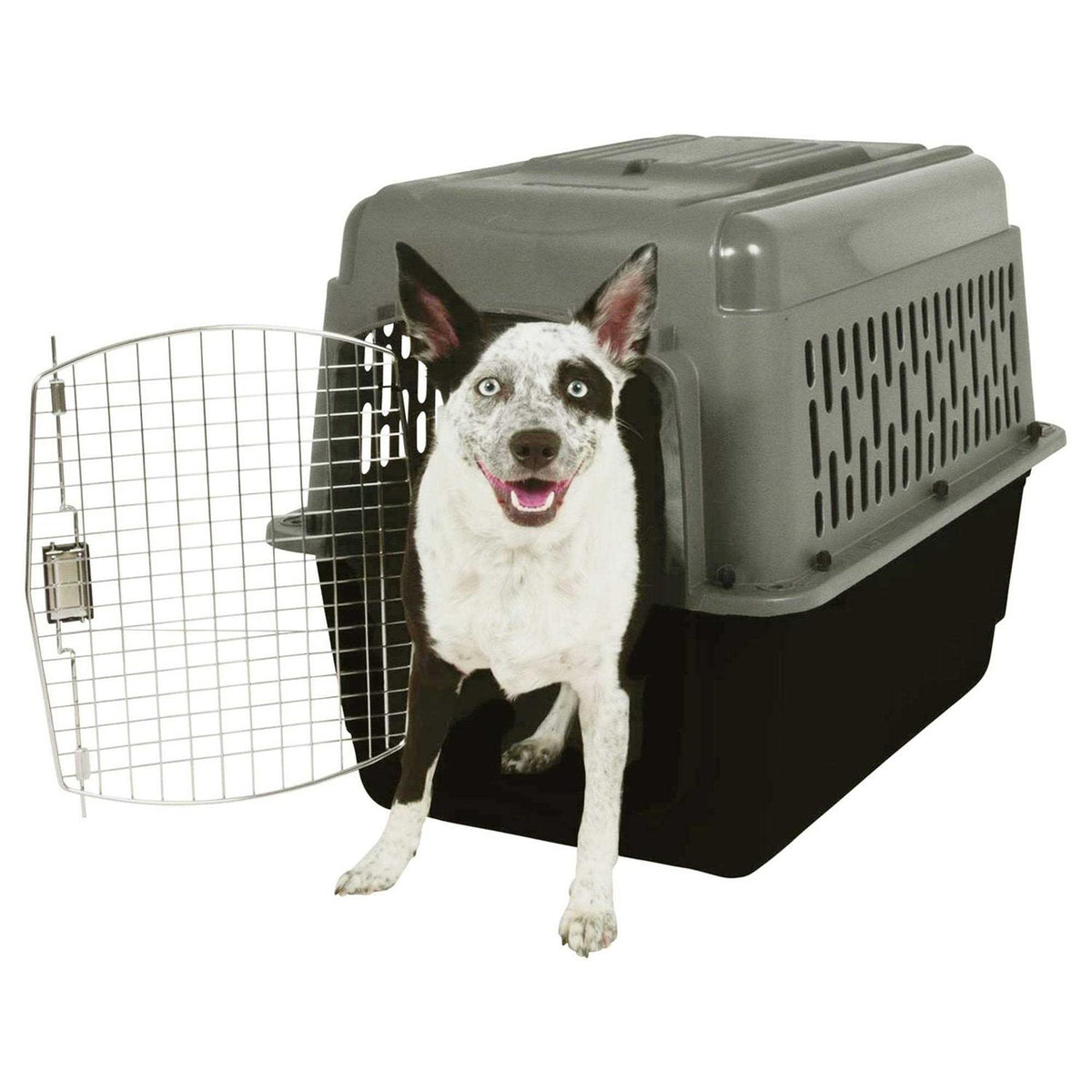 Pet Porter Y1668