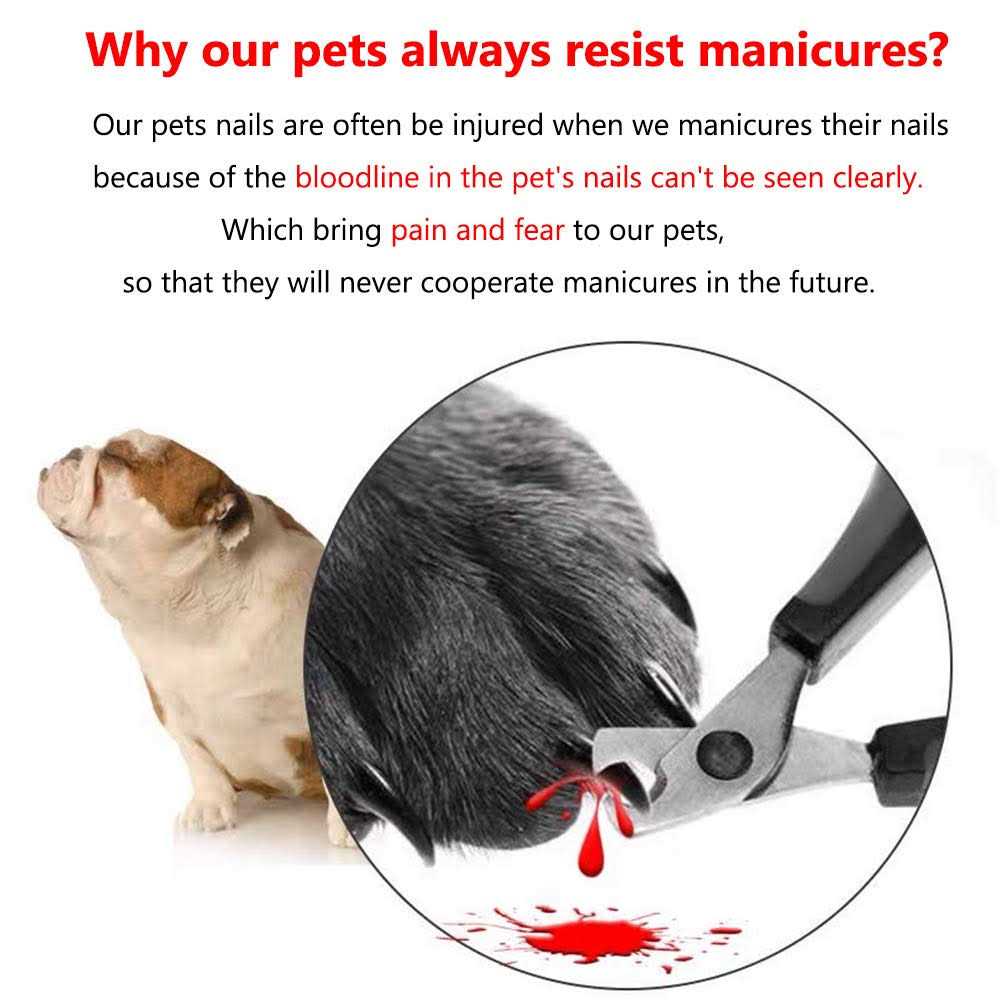 Illuminated Pet Nail Clipper with LED Light Y44758