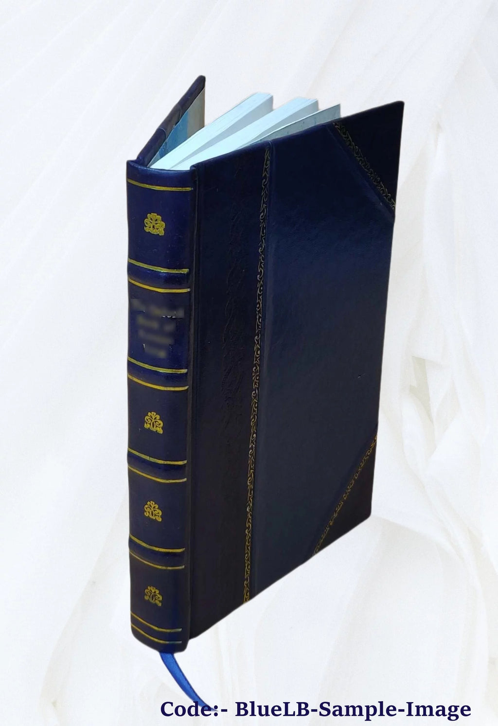 1917 Leather Bound G664