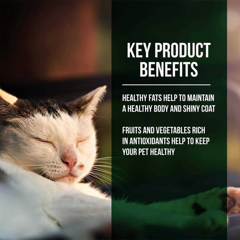 Salmon Chicken Dry Cat Food G8209