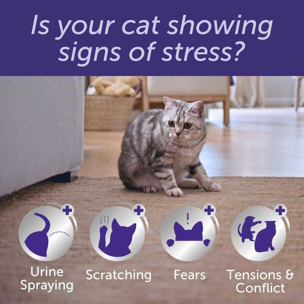 Cat Calming Pheromone Diffuser Refill Y411888