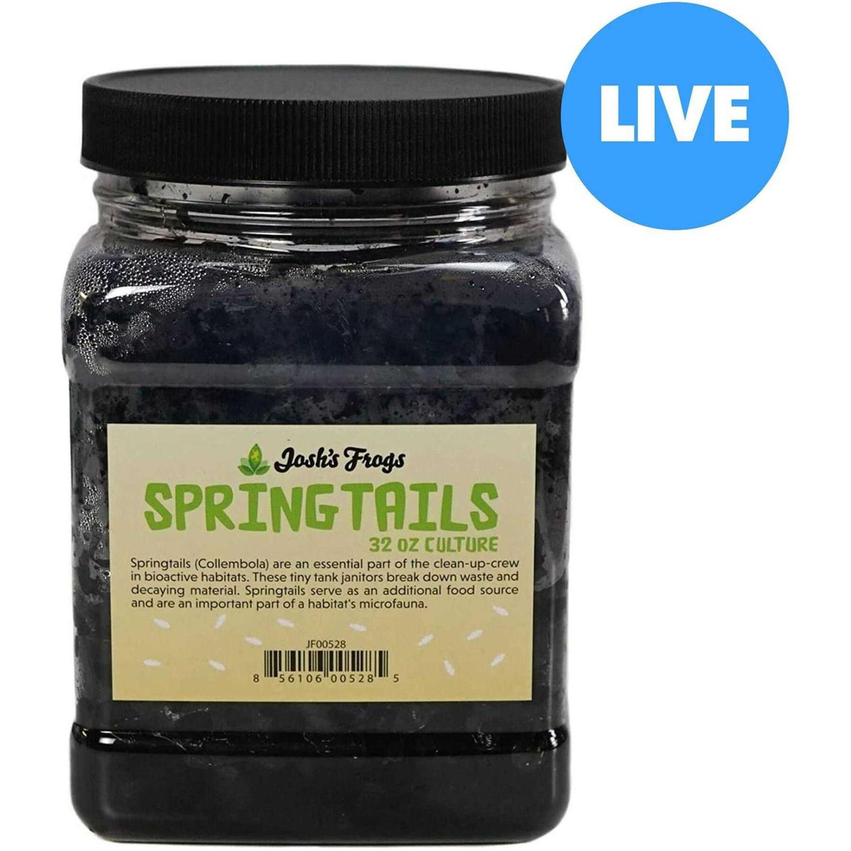 Temperate Springtail Culture A5529