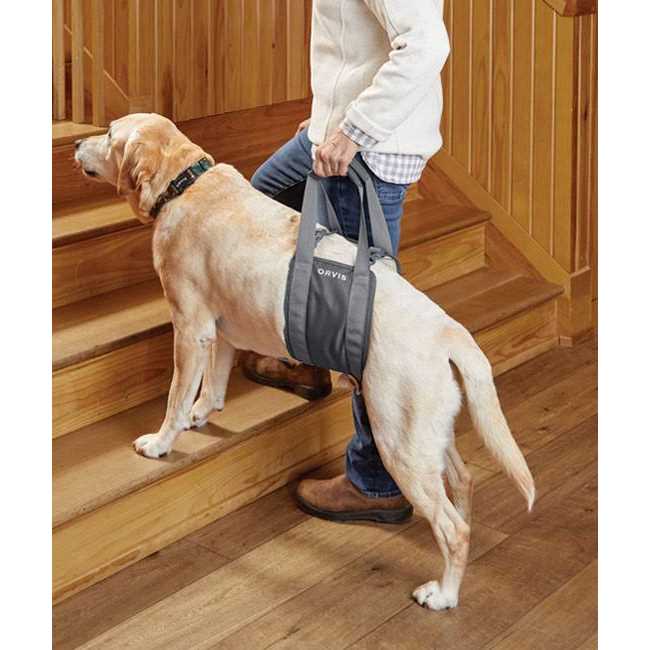 Gray Rear Dog Lift T919