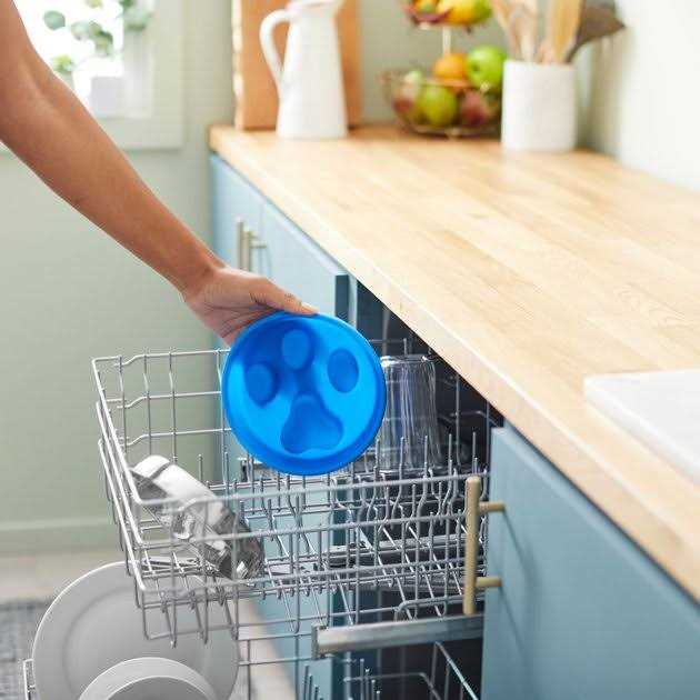 Silicone Stainless Steel Slow Feeder Dog & Cat Bowl H692208