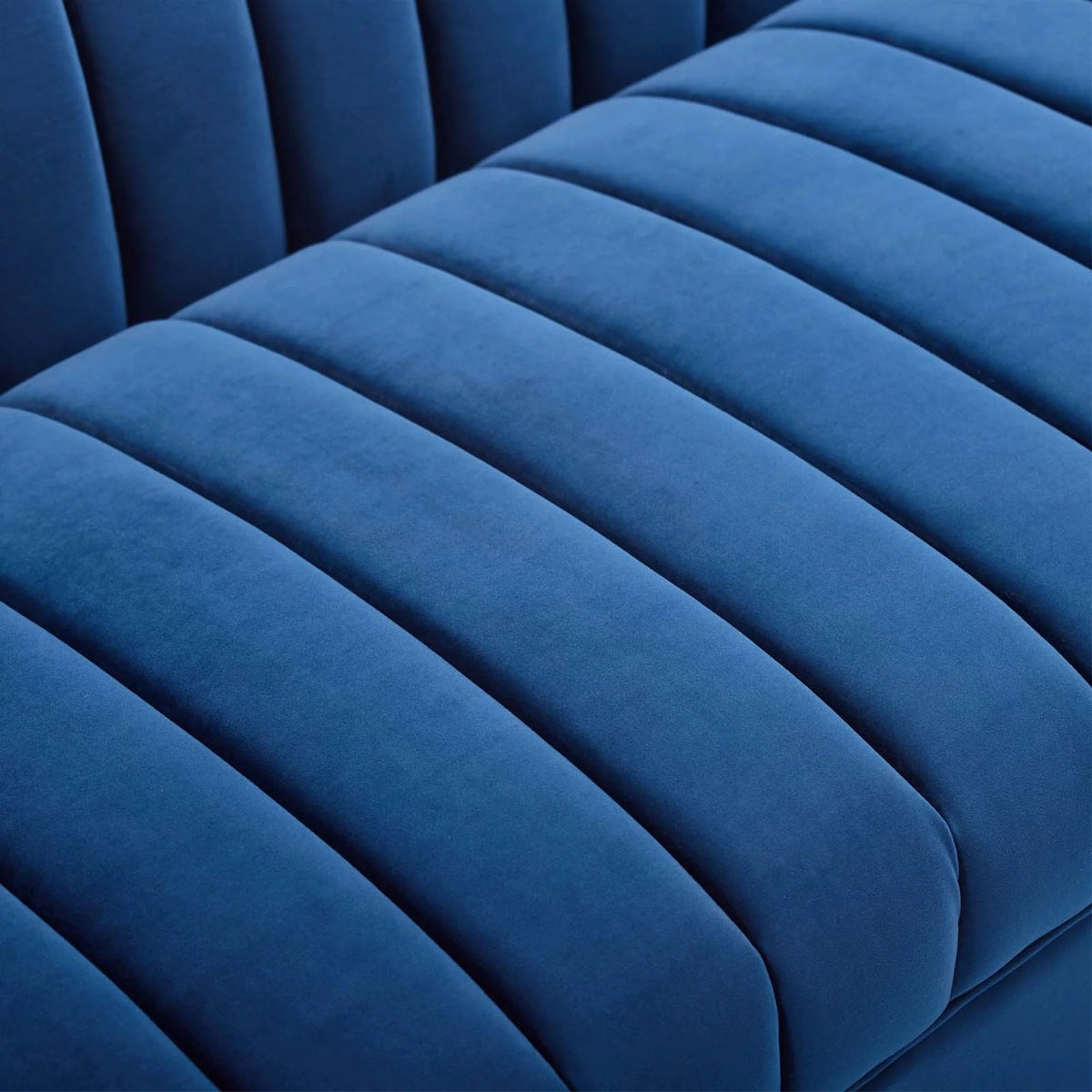 Navy Gold Velvet Sofa N15903