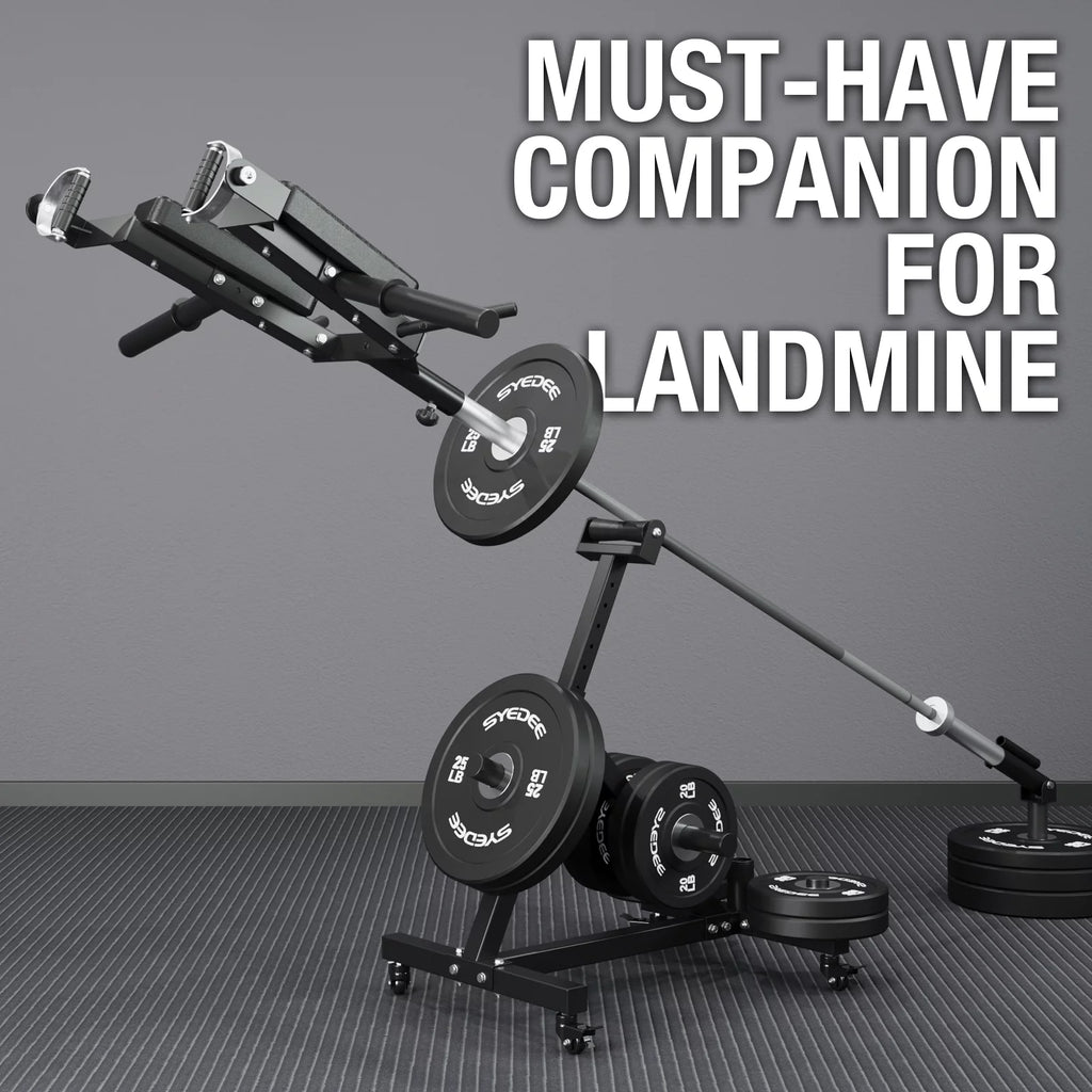 Landmine Squat Attachment with Viking Press T6881