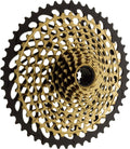 12-Speed Cassette S53031