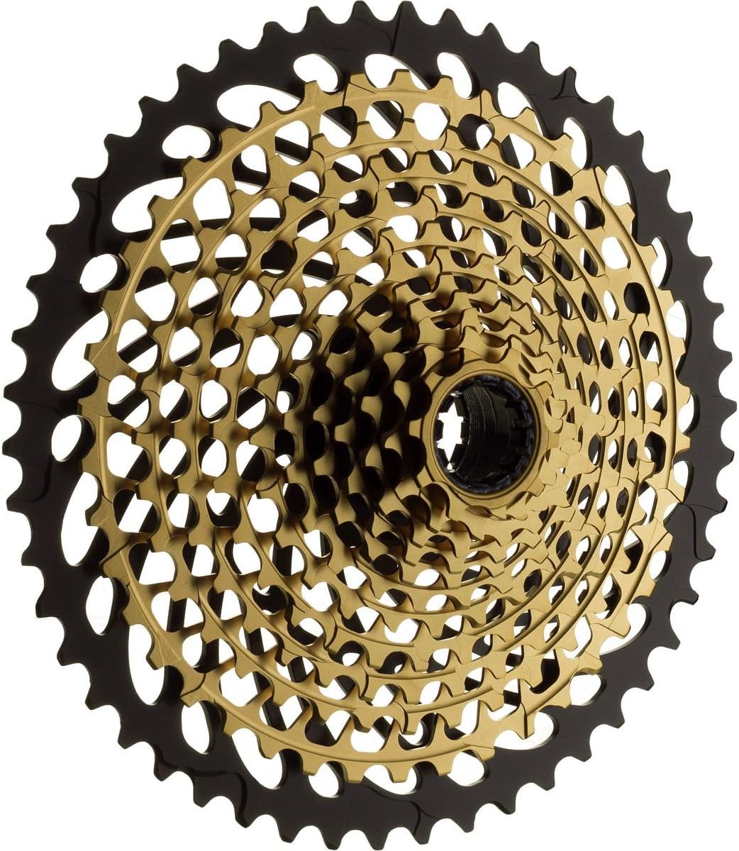 12-Speed Cassette S53031