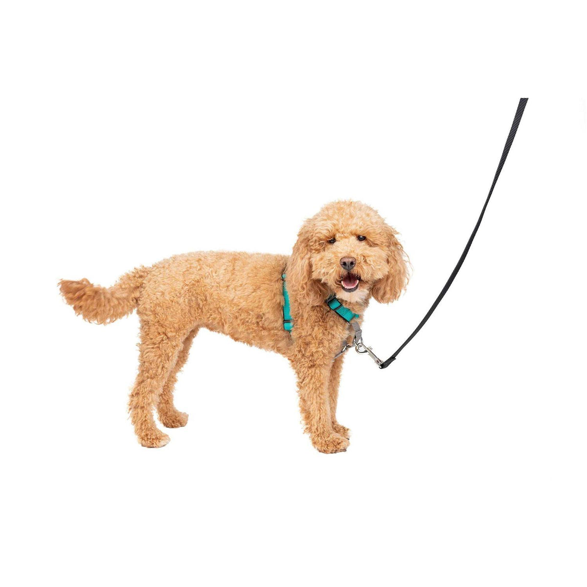 3 in 1 Harness X5783