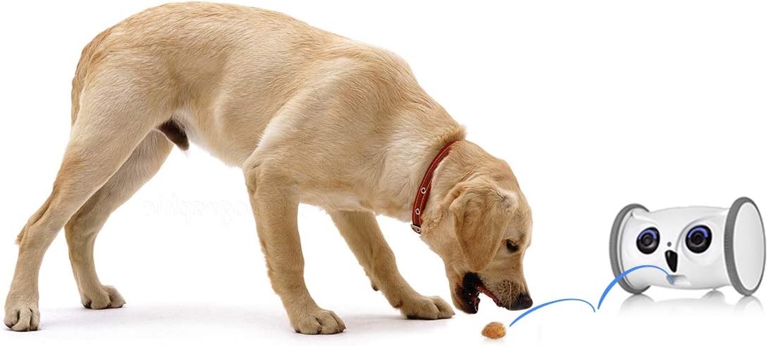 Full HD Pet Camera with Treat Dispenser C18581