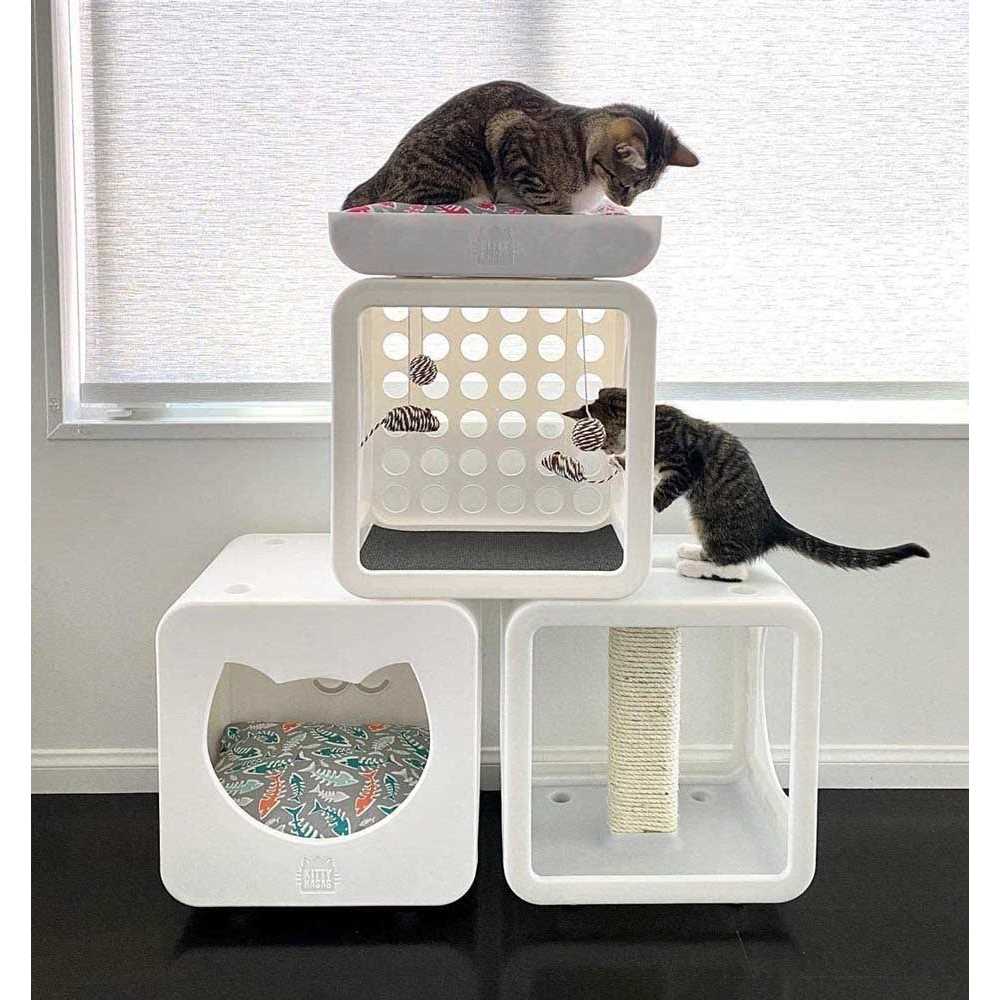 Cat House T16006