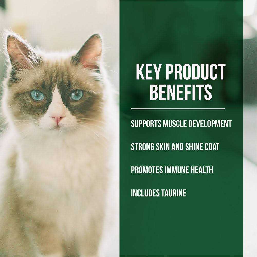 Salmon Chicken Dry Cat Food G8209