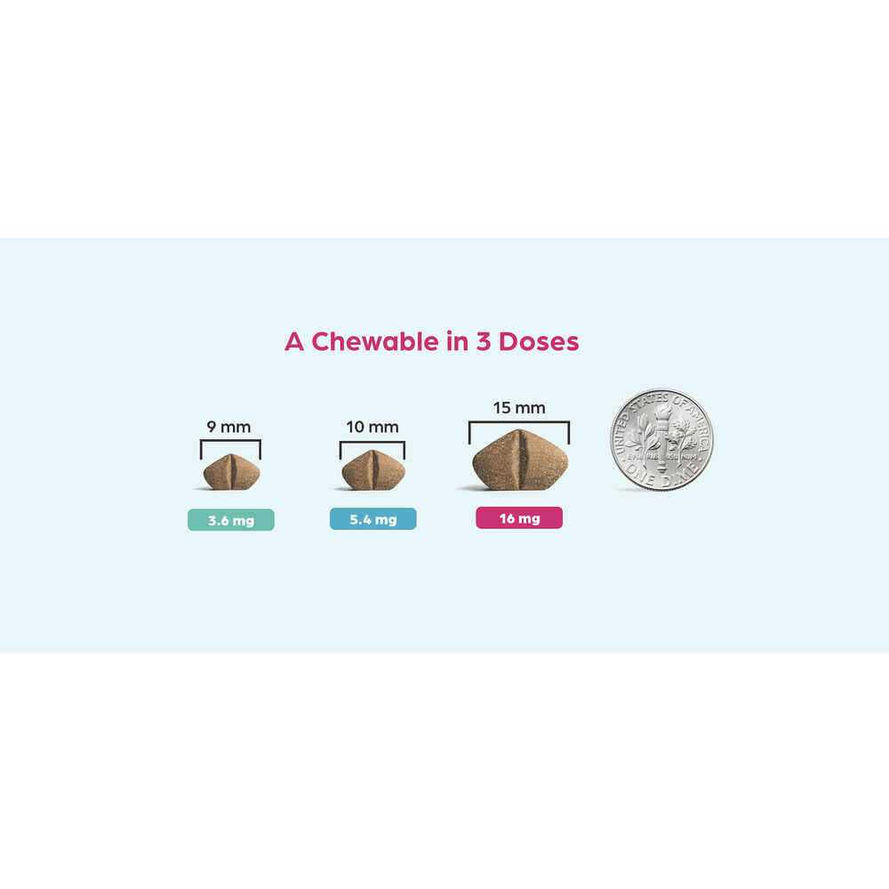 Chewable for Dogs Z184818