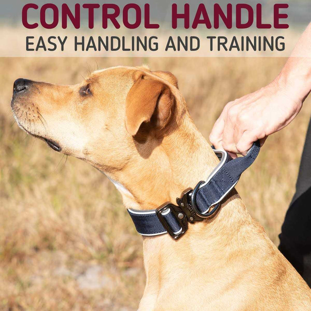 Heavy-Duty Adjustable Dog Collar with Handle A757956