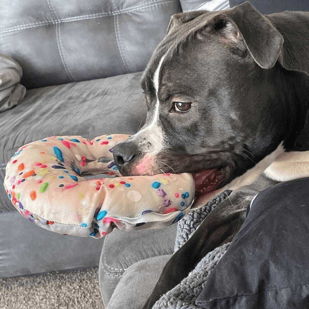 Refillable Donut Dog Toy G6506