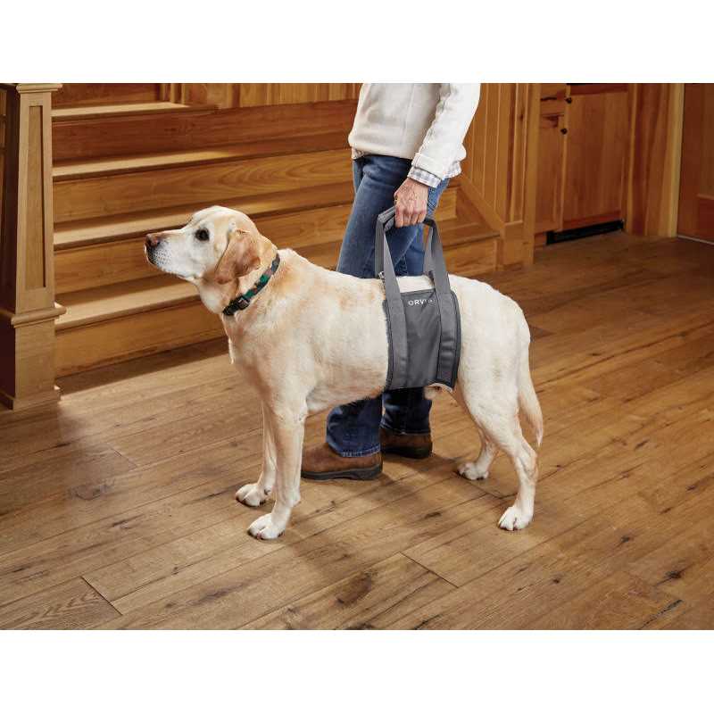 Gray Rear Dog Lift T919