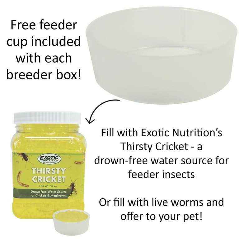 Mealworm Breeder Kit M913481