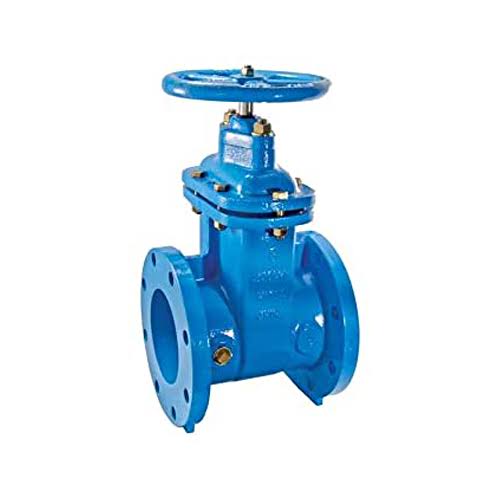 Cast Iron Gate Valve 2 in X37751