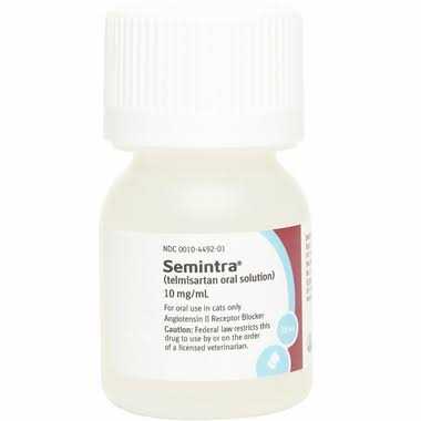 Oral Solution for Cats 10 mg/ml Y1900