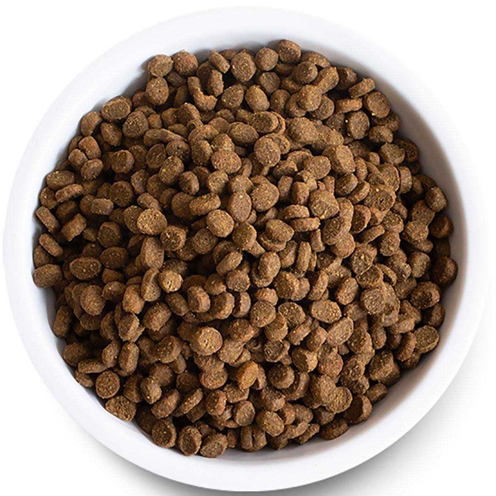 Grain-Free Wild-Caught Salmon Dry Cat Food H582