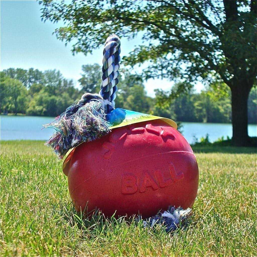 Pet Supplies Z1158