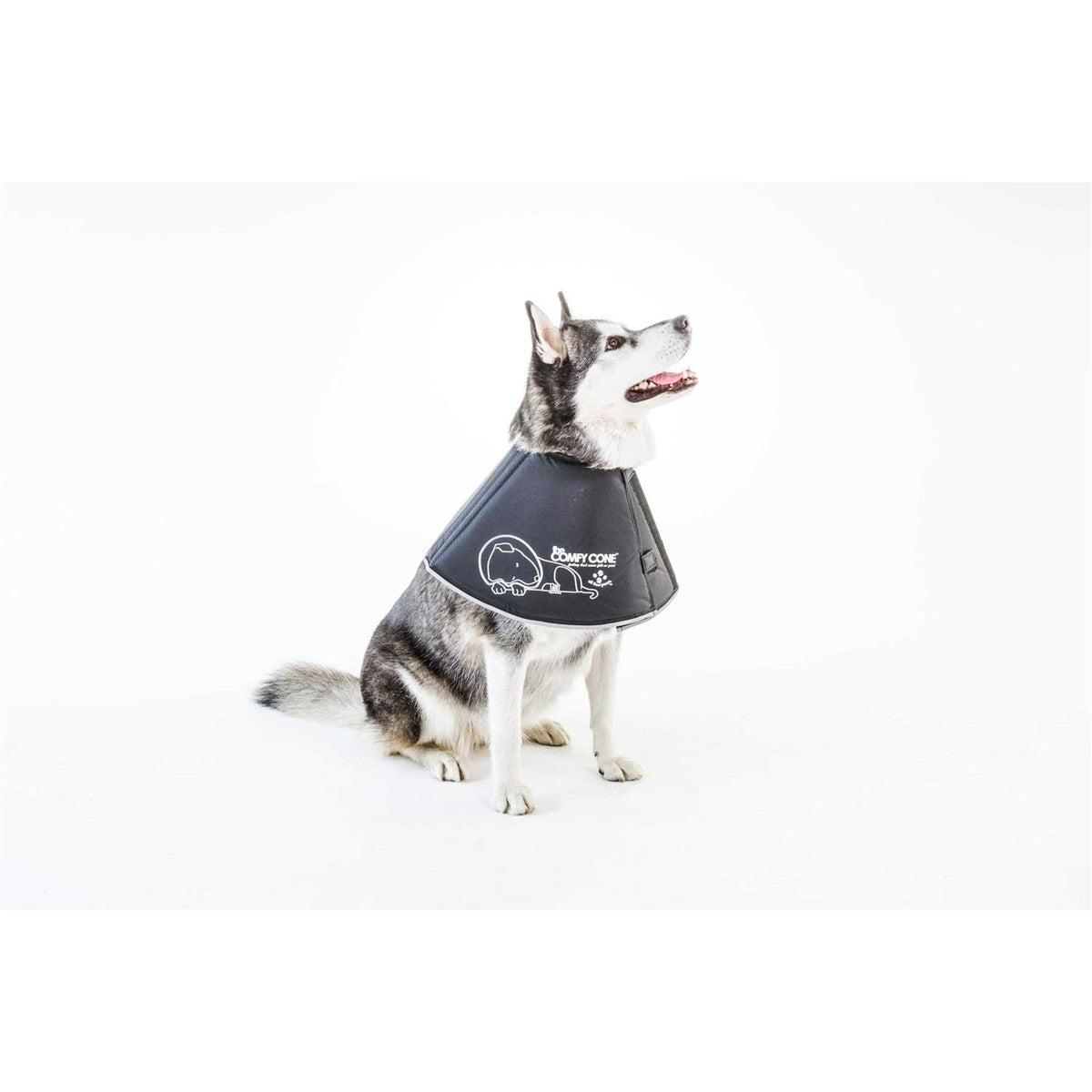 Comfy Cone Collar L440112