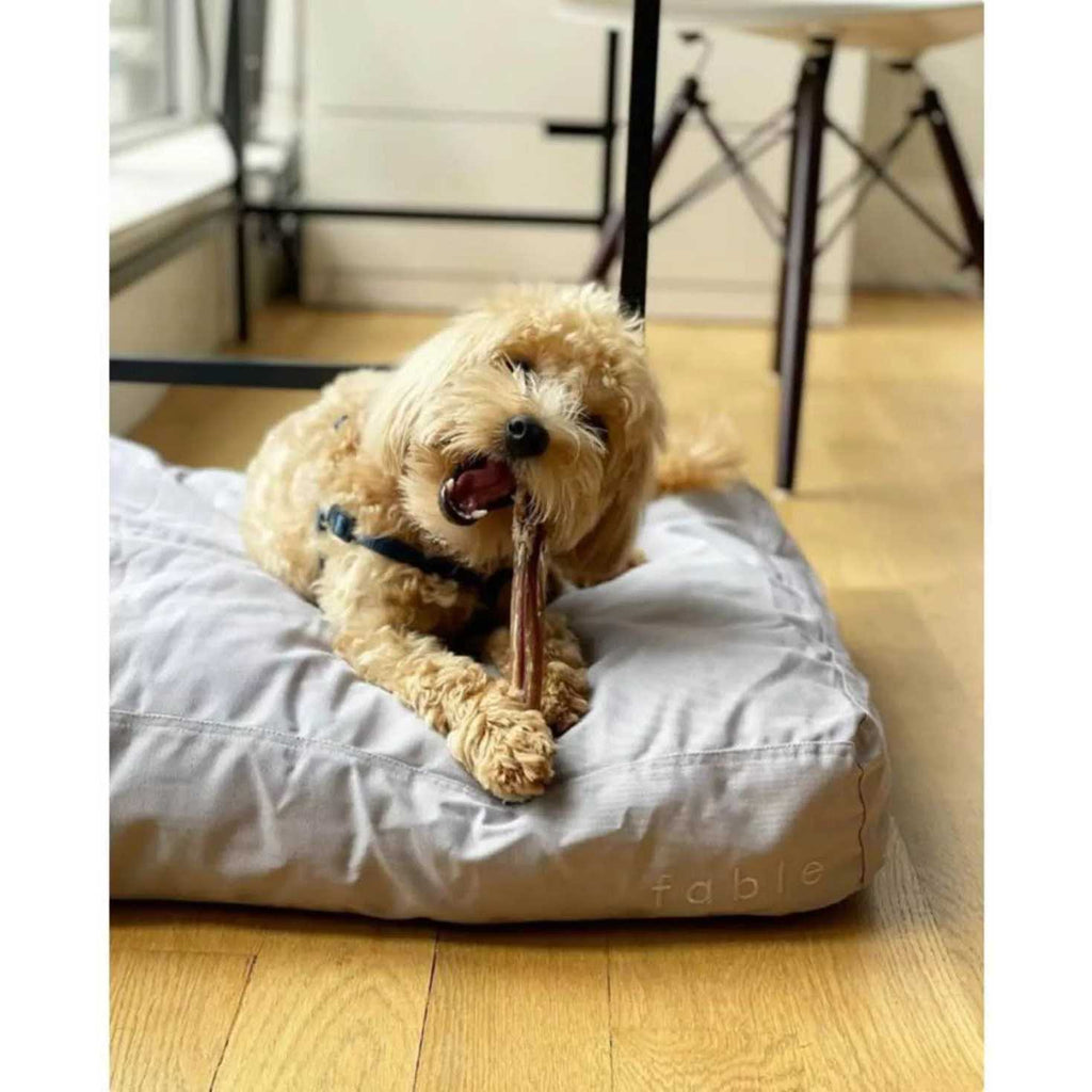 Dog Bed I40520