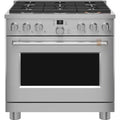6 Burner Dual Fuel Range with Convection in Stainless Steel D447