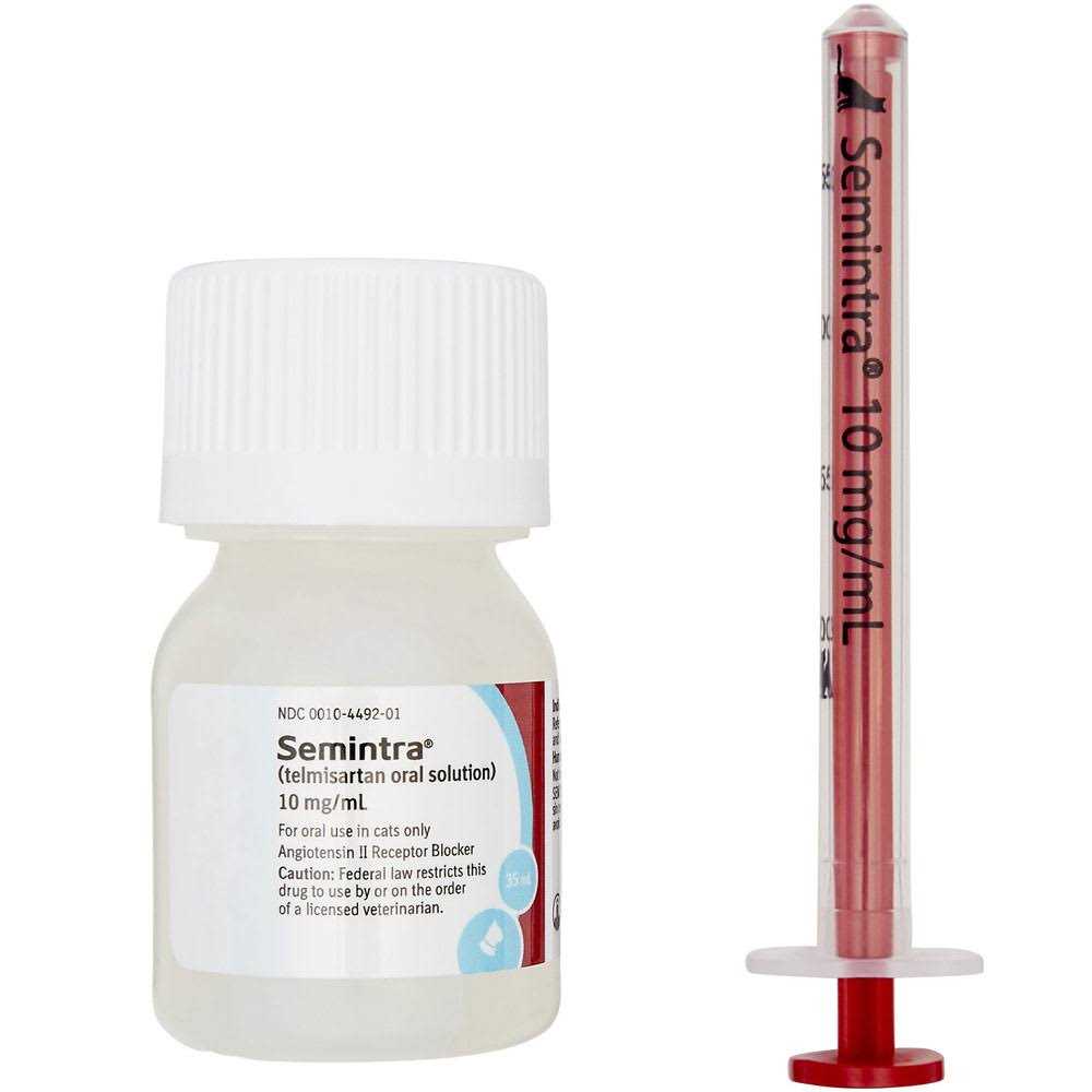Oral Solution for Cats 10 mg/ml Y1900