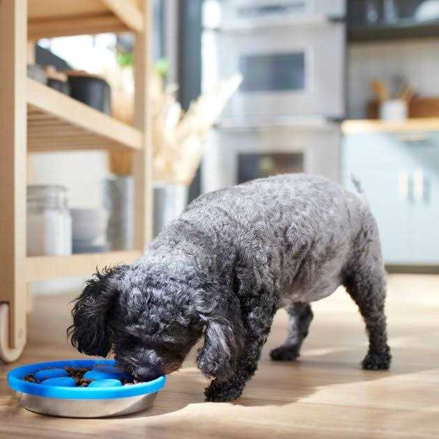 Silicone Stainless Steel Slow Feeder Dog & Cat Bowl H692208