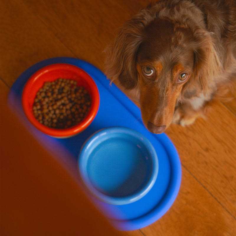 Pet Eats Set O48291