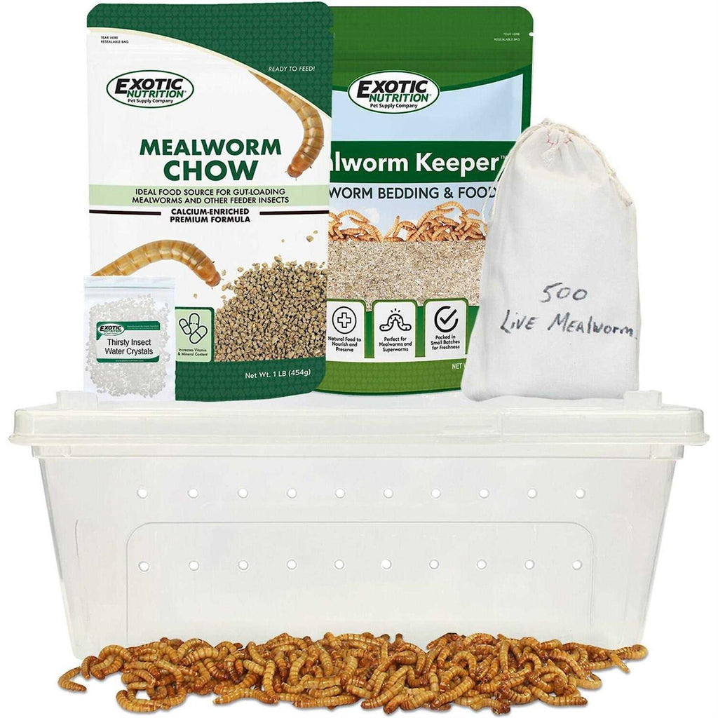 Mealworm Breeder Kit M913481