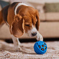Dog Toy J686