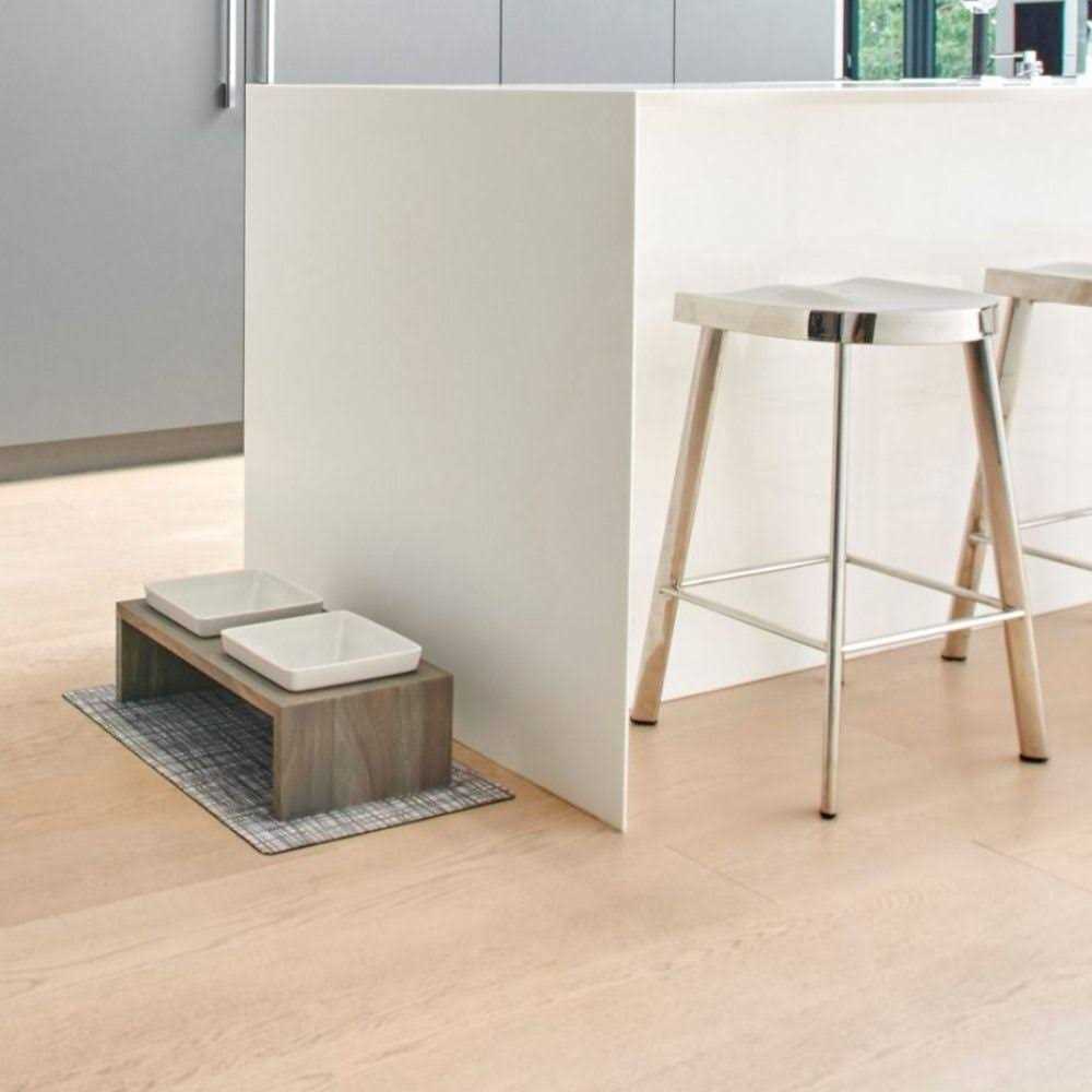 Double Dog Feeder C8343