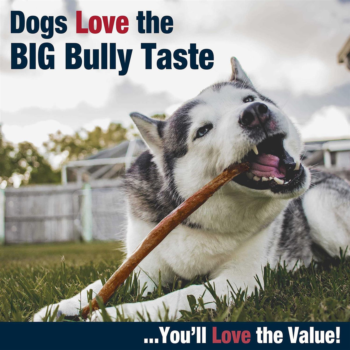 All-Natural Dog Chews B707062