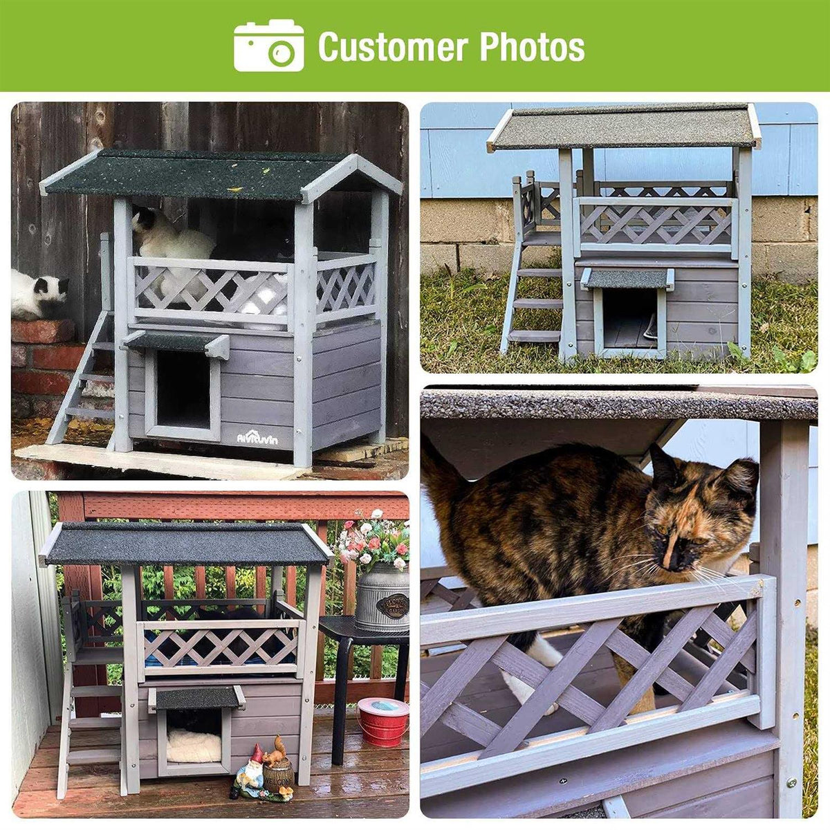 Cat House with Door B68003
