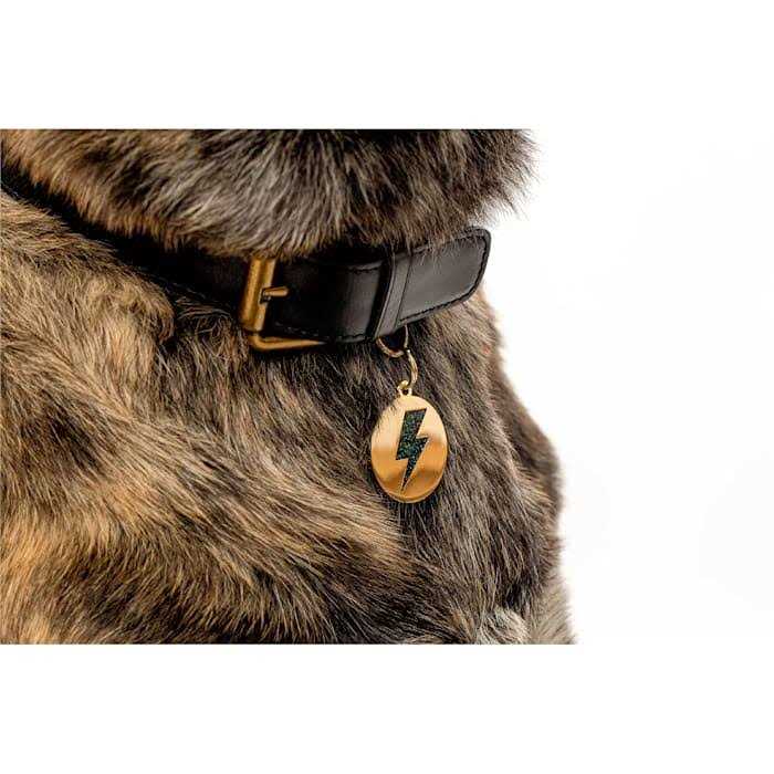 Lightning Bolt Pet ID Tag U916