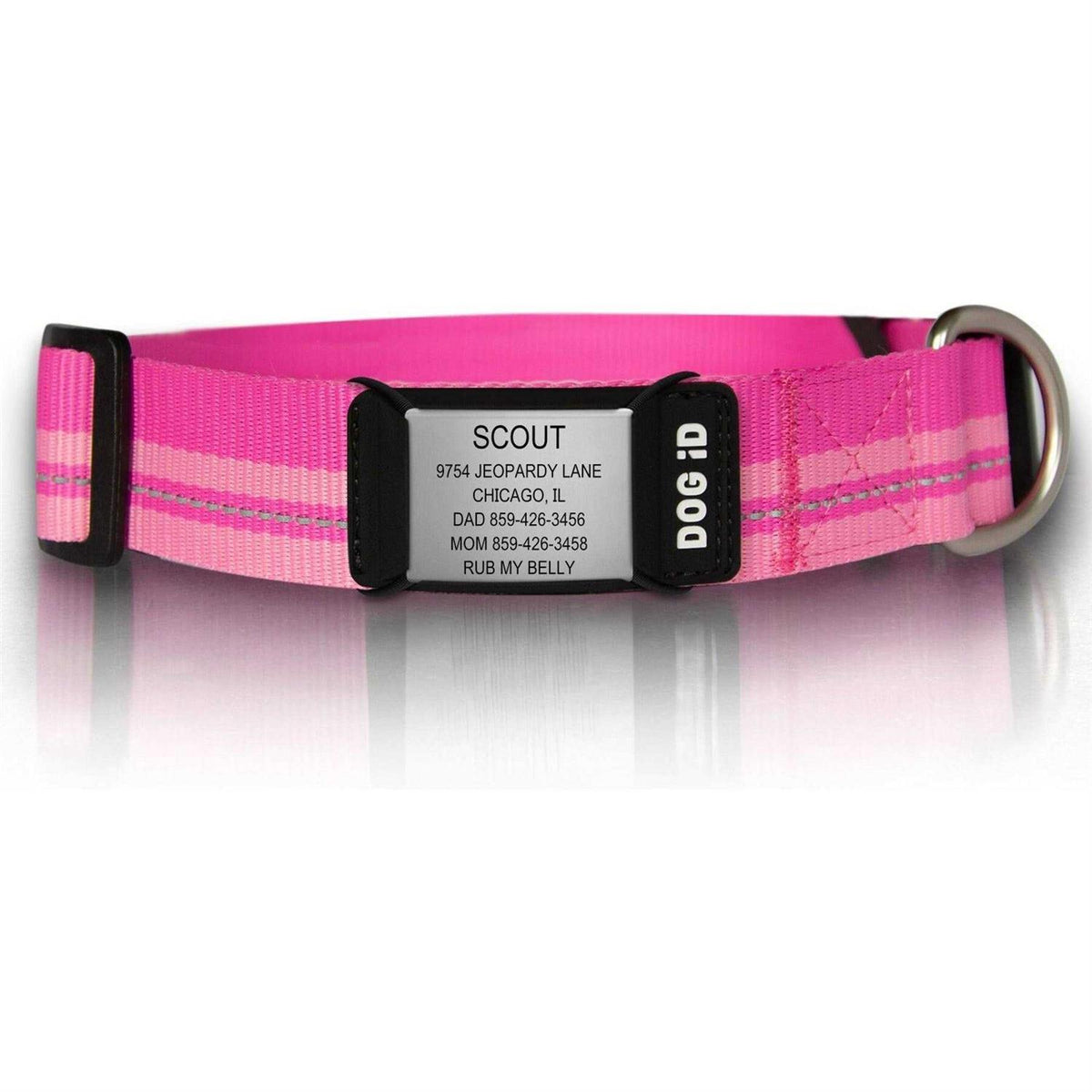 Personalized ID Tag Dog Collar P508661