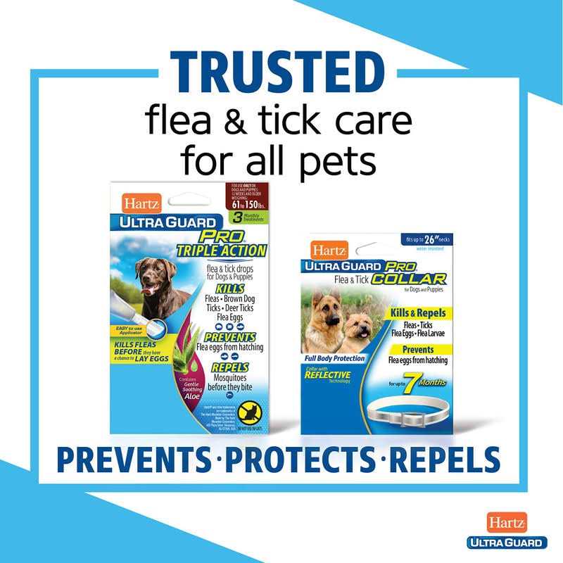 Flea & Tick Prevention For Cats H462653
