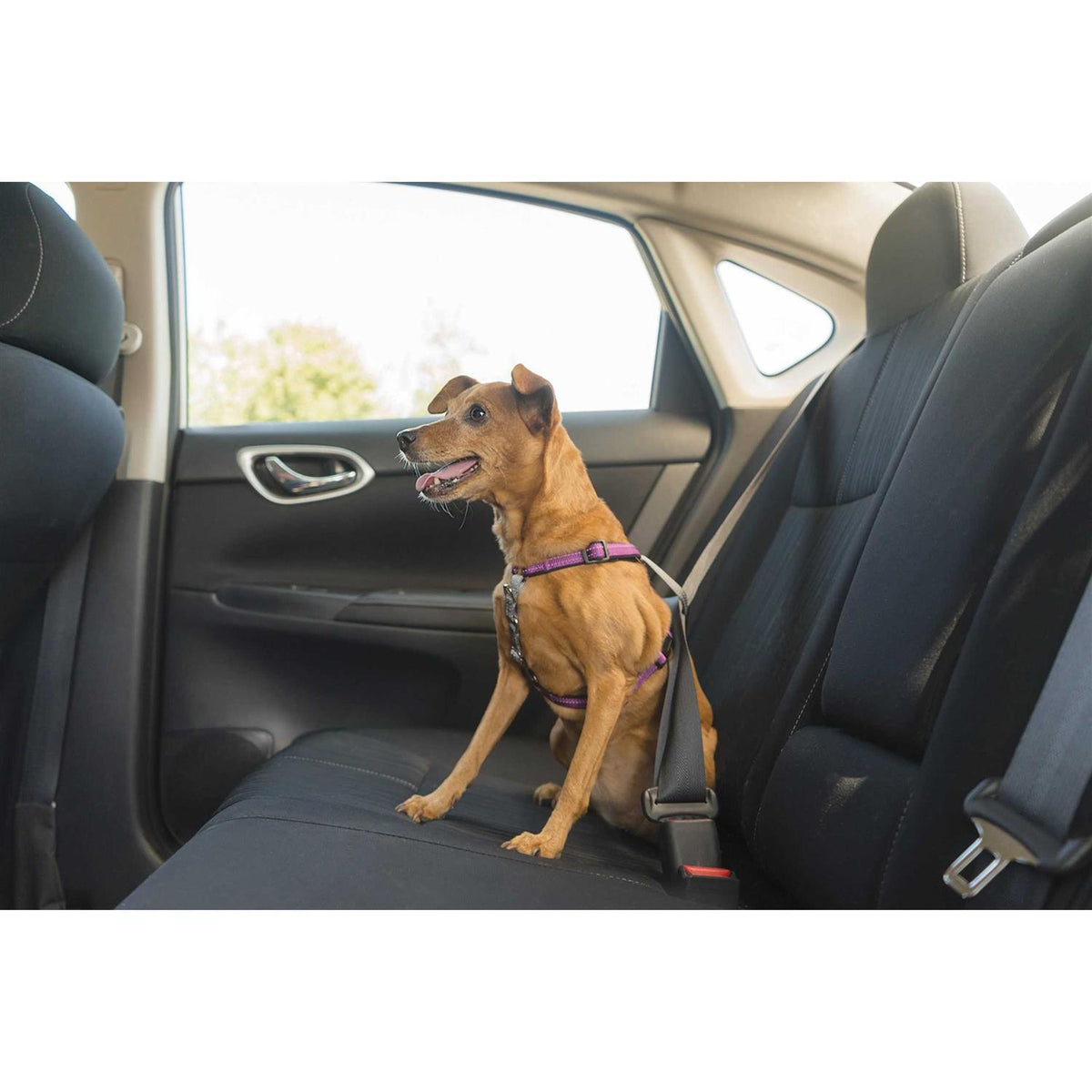 3 in 1 Harness X5783