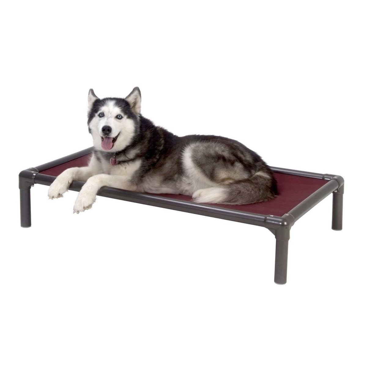 Walnut PVC Chewproof Dog Bed C403625