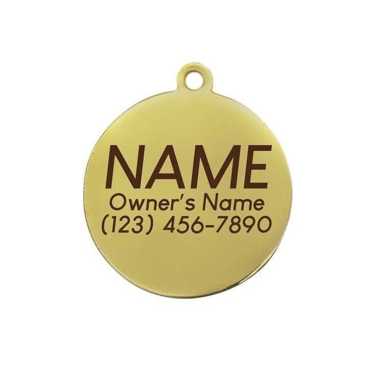 Lightning Bolt Pet ID Tag U916