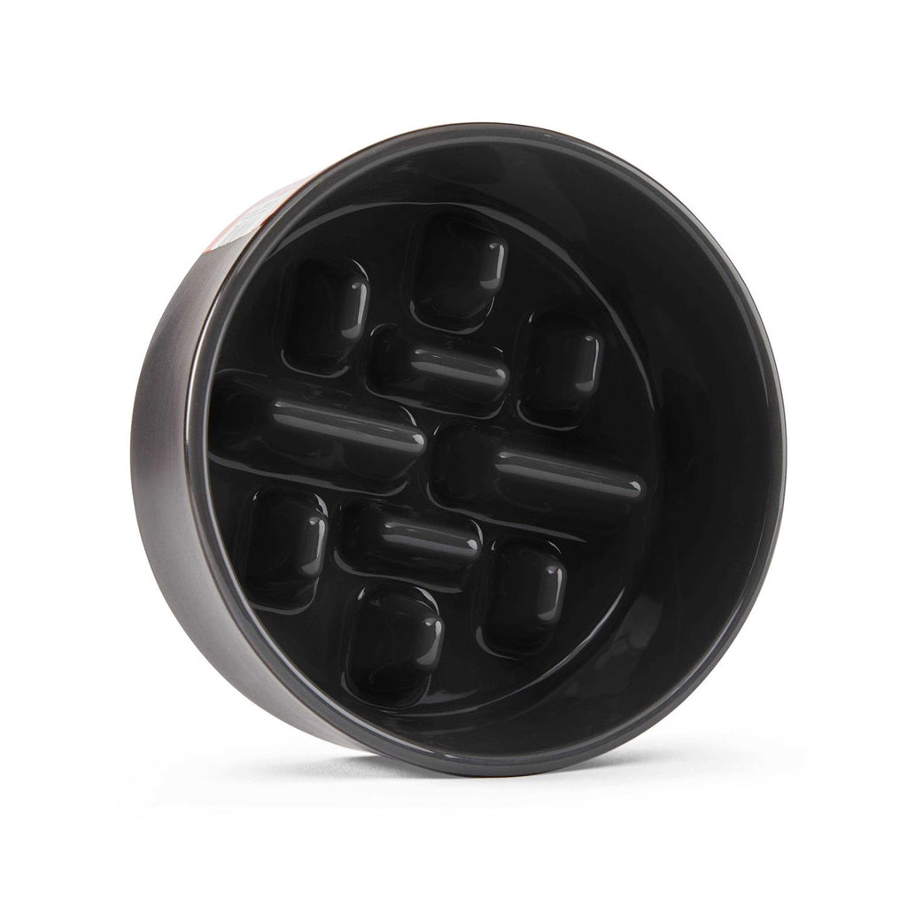 Slow Feeder Replacement Bowl for Dogs T4485