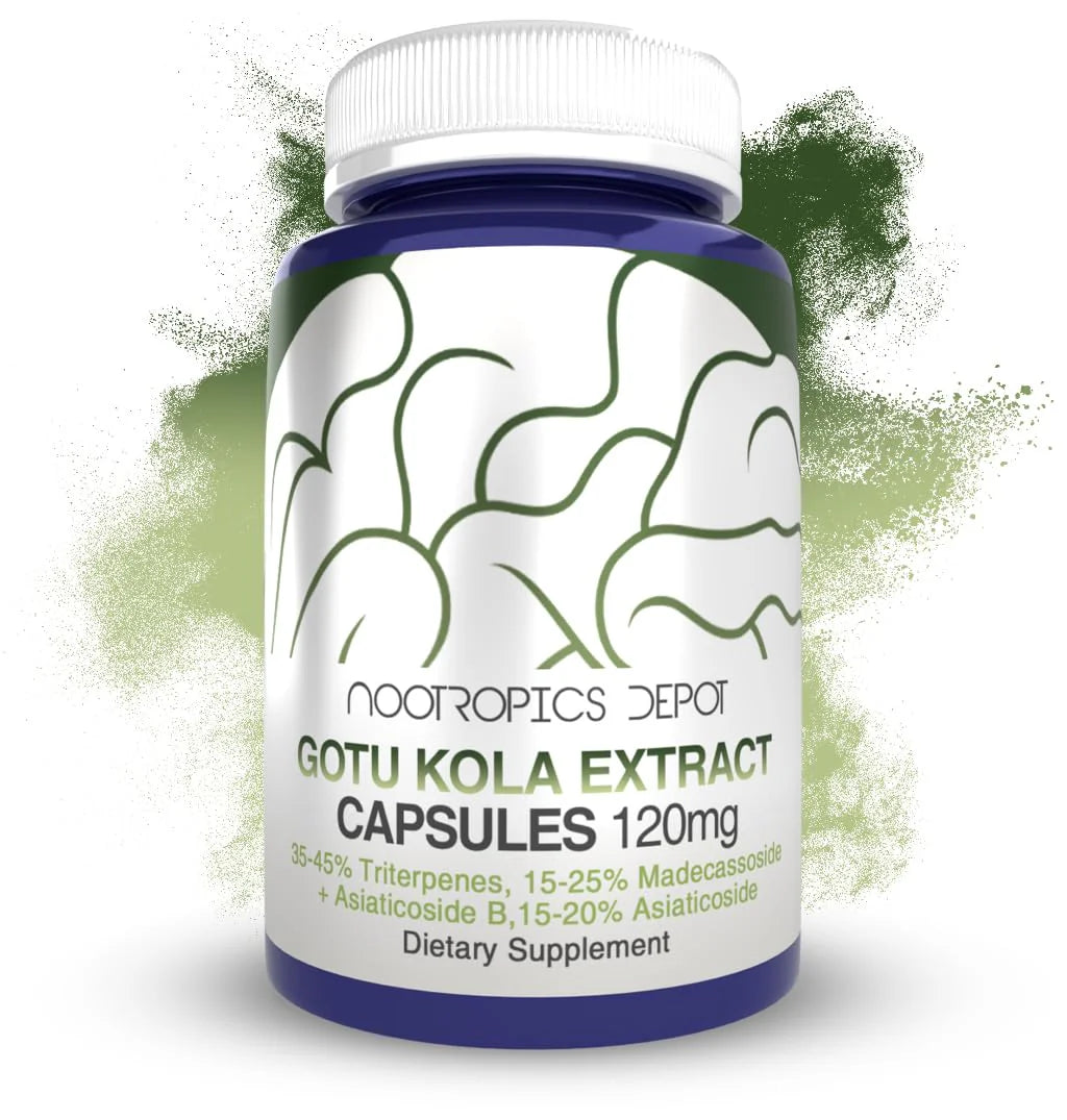 Gotu Kola Extract Capsules 120mg 90 Count L914
