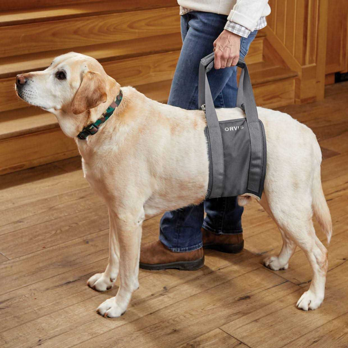 Gray Rear Dog Lift T919